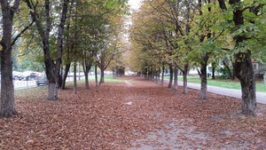 Image-preview_300x200