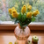 Image-square_50