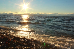 Image-preview_300x200