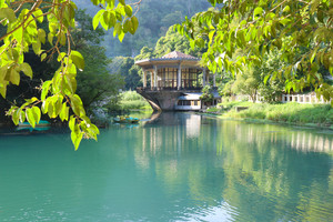 Image-preview_300x200