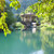 Image-square_50