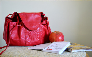 Image-preview_300x200