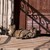 Image-square_50