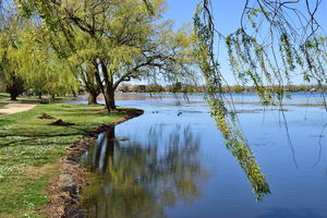 Image-preview_300x200