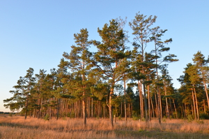 Image-preview_300x200