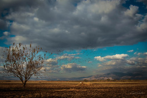 Image-preview_300x200