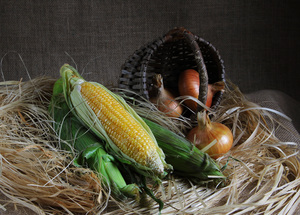 Image-preview_300x200