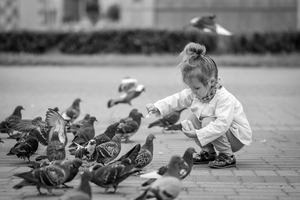 Image-preview_300x200