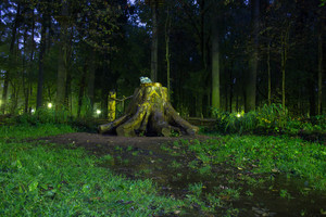 Image-preview_300x200