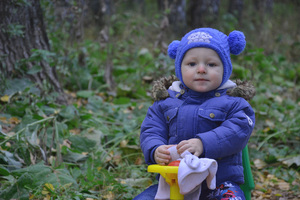 Image-preview_300x200