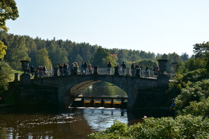 Image-preview_300x200