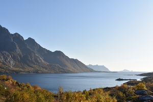 Image-preview_300x200