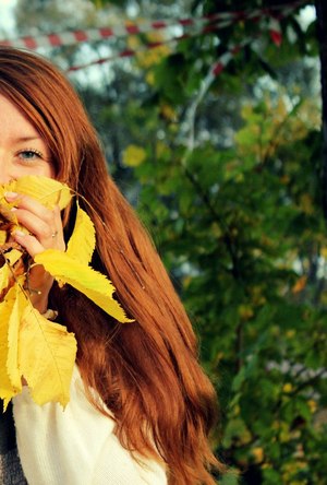 Image-preview_300x200