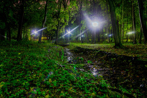 Image-preview_300x200