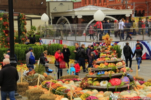 Image-preview_300x200