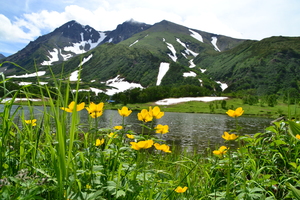 Image-preview_300x200