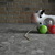 Image-square_50
