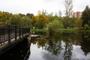 Image-preview_300x200