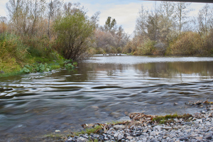 Image-preview_300x200