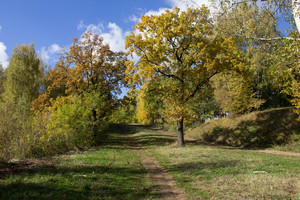 Image-preview_300x200