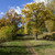 Image-square_50