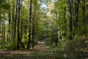 Image-preview_300x200