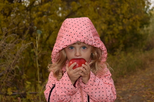 Image-preview_300x200