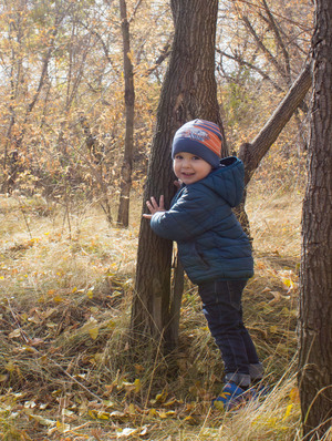 Image-preview_300x200