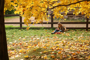 Image-preview_300x200