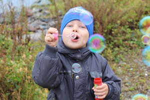 Image-preview_300x200