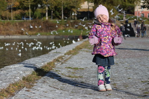 Image-preview_300x200