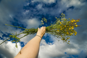 Image-preview_300x200