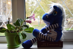 Image-preview_300x200