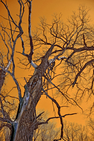 Image-preview_300x200