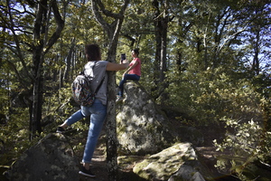 Image-preview_300x200