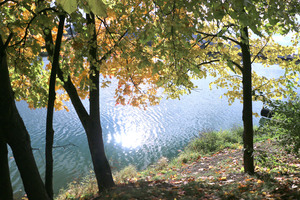 Image-preview_300x200