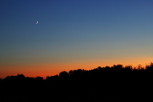 Image-preview_300x200