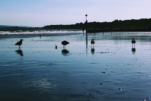 Image-preview_300x200