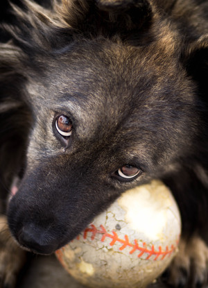 Image-preview_300x200