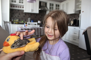 Image-preview_300x200