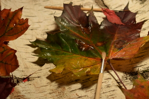 Image-preview_300x200