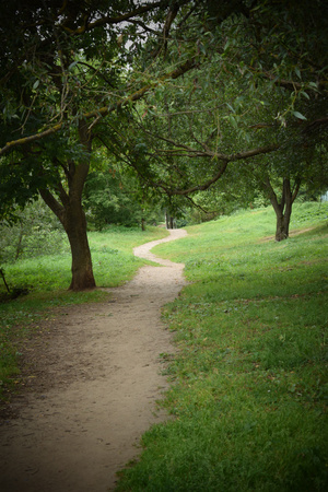 Image-preview_300x200