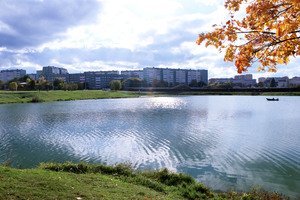 Image-preview_300x200