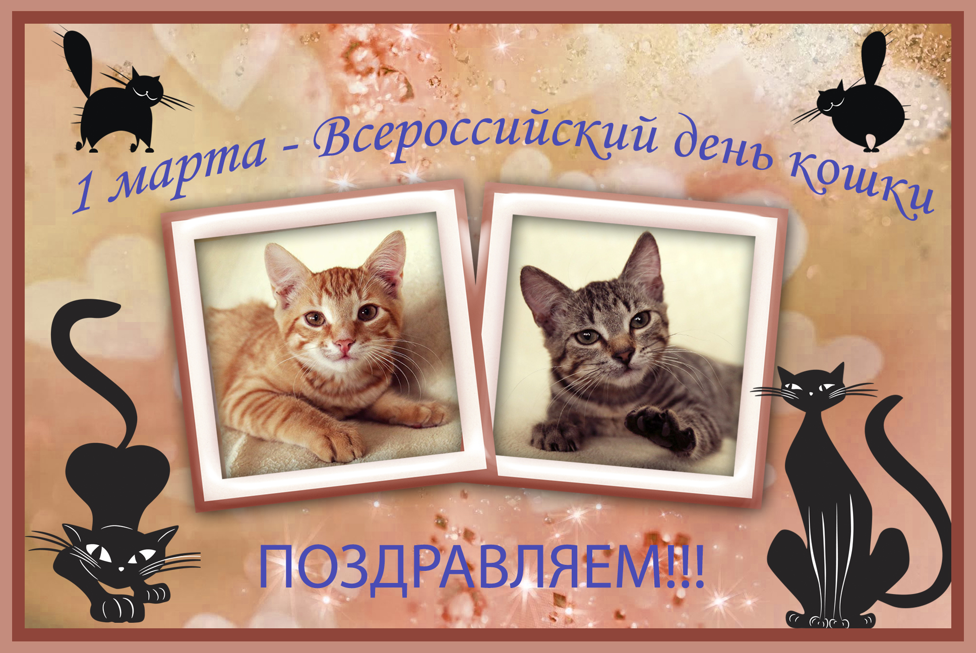 Плакат ко Дню кошек