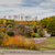 Image-square_50