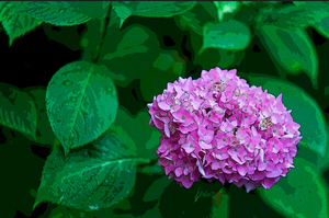 Image-preview_300x200