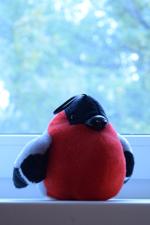 Image-preview_300x200