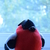 Image-square_50