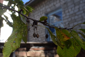 Image-preview_300x200