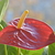 Image-square_50